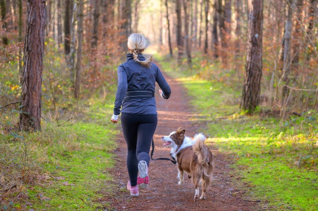 Joggen mit Hund: 10 Tipps für ein gesundes Lauftraining